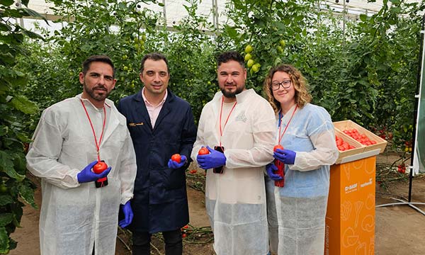 Fran Cara, Rodrigo Valdés y Laura García, técnicos de Vicasol, con Iván Sierra, de BASF | Nunhems / agroautentico.com
