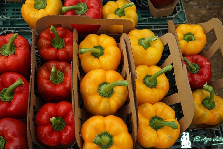 Gorafe en amarillo y Filabres y Bacares en rojo son los antioídio de agroTIP