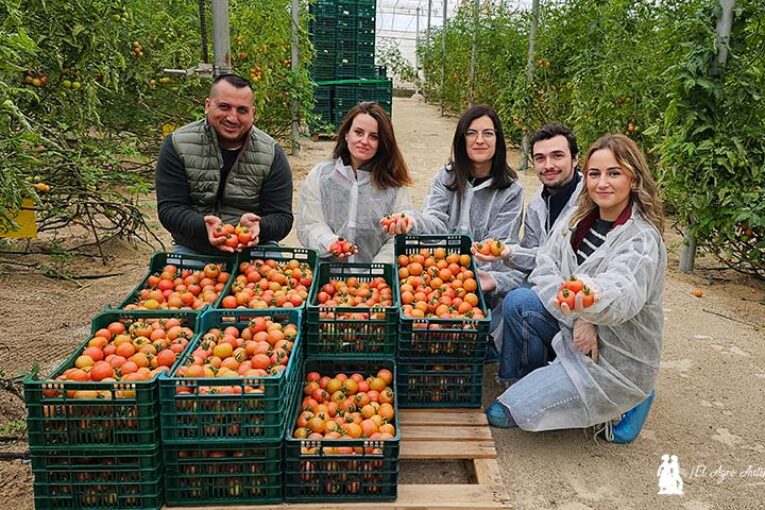 Vellsam implementa su gama 25 aniversario en el tomate de colgar