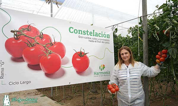 Mª José Flores, directora comercial en el Levante almeriense de Harmoniz / agroautentico.com