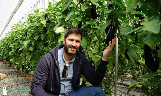 Pepe Jiménez, especialista de cultivo de berenjena en Rijk Zwaan / agroautentico.com