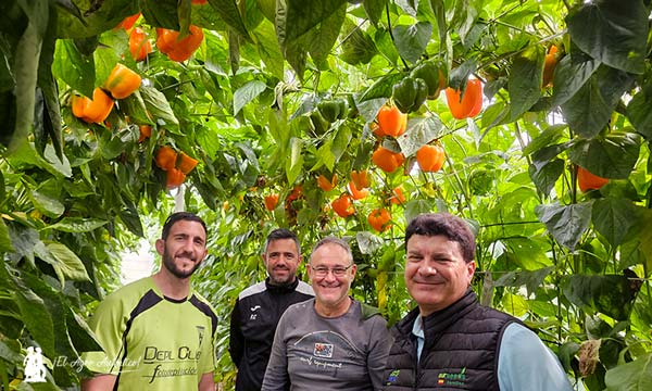 Jorge Viseras, técnico de Sur Seeds, con un grupo de agricultores viendo Pantera / agroautentico.com