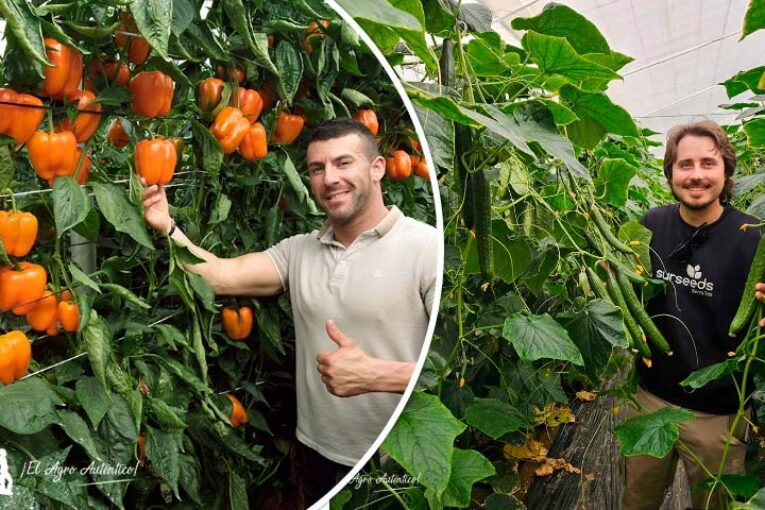 Sur Seeds presenta en una jornada conjunta novedades en pepino y california naranja