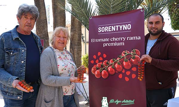 Productores de tomate del Poniente almeriense / agroautentico.com