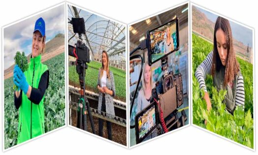 Sakata estrena ‘De Pedacitos de Ti’ para visibilizar el papel de la mujer en el sector agro