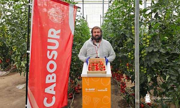 Francisco Manuel Sánchez, con el tomate Cabosur resistente a rugoso / agroautentico.com