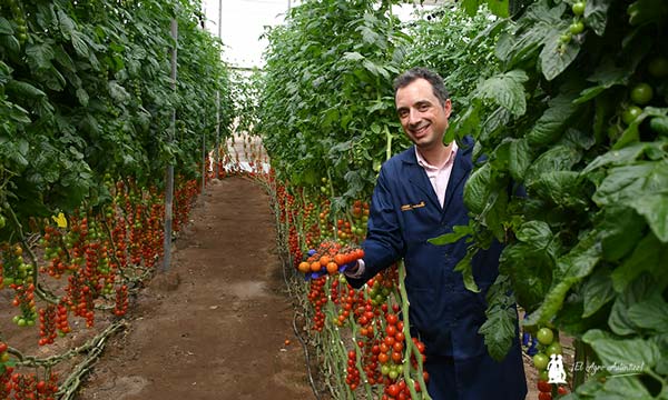 Iván Sierra con el cherry Daivion / agroautentico.com