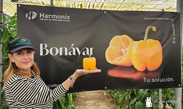 María José Flores de Harmoniz con el pimiento amarillo Bonáyar / agroautentico.com