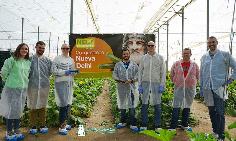 Resistencias a Nueva Delhi Syngenta. María y Laureano, técnicos de Agro San Isidro; María y Carmelo, de Nijargreen; Antonio Rodríguez, productor de calabacín; y José Antonio Arellano e Iván Alonso, Syngenta / agroautentico.com