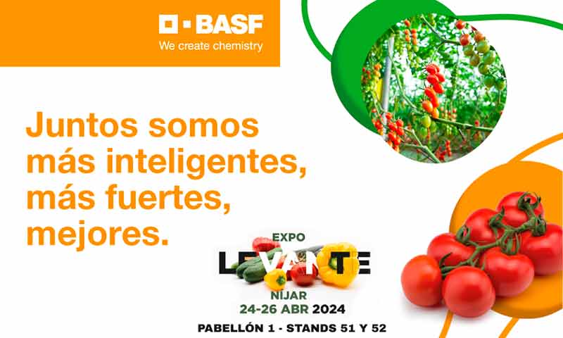 BASF | Nunhems lleva a Expolevante sus resistencias al virus del rugoso