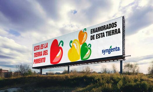 Syngenta homenajea al pimiento que se cultiva en Almería y Murcia en su campaña ‘Enamorados de esta tierra’