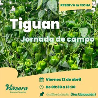 Jornada de campo Tiguan de Hazera