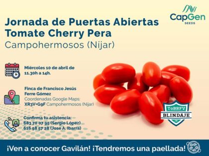 Día 10 de abril. Jornada de tomate cherry pera Gavilán de CapGen-noticias-agroautentico.com