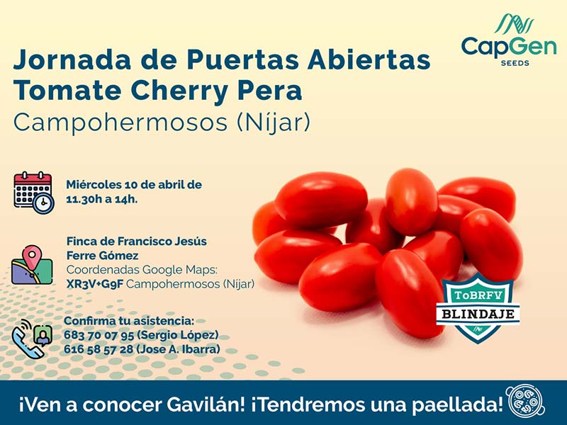 Día 10 de abril. Jornada de tomate cherry pera Gavilán de CapGen