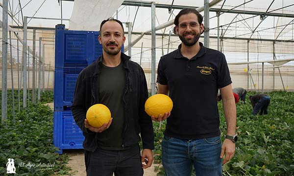 José Antonio Saavedra y Francisco Javier Maleno Berenguel con melones amarillos de Magar / agroautentico.com