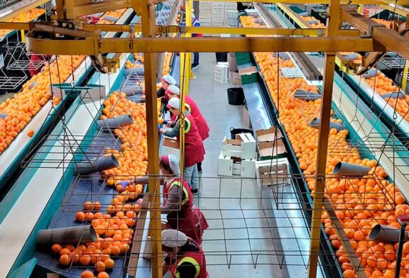 Green Fruits sube un 12% en ventas y logra 1,4 millones € de beneficio