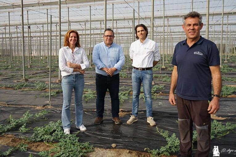 Sandía de principio a fin con Certis Belchim