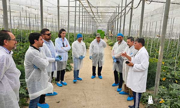 Plant Health Care vuelve a unir México con España a través de la agricultura-noticias-agricultura