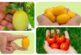 Melones enanos, tipo cherry y con piel comestible