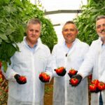 Yuksel Seeds lleva a Expolevante sus novedades en tomate frente al virus del rugoso-noticias-agroautentico.com