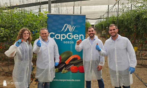 CapGen ya compite en la Liga de los resistentes a rugoso con el cherry Gavilán-noticias-agroautentico.com