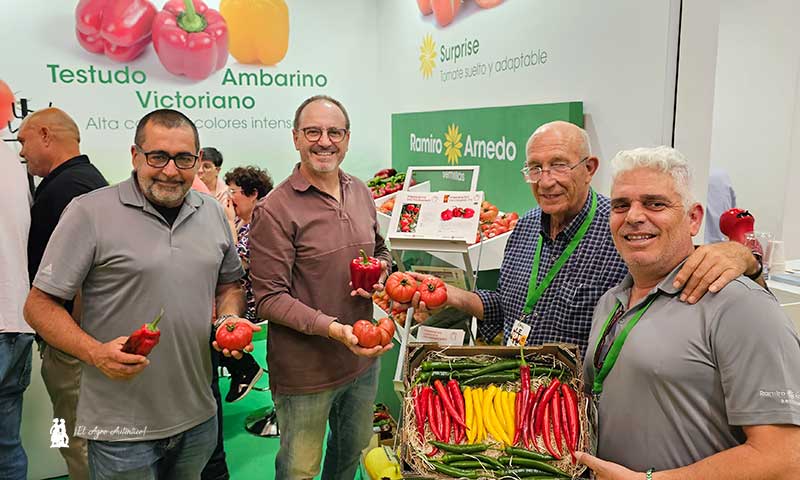 Novedades de Ramiro Arnedo en guindillas, melón amarillo y tomate resistente a rugoso