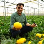 director general de Magar, Javier Maleno, con melón amarillo / agroautentico.com
