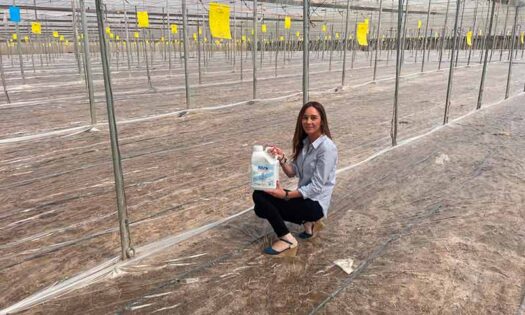 Desinfección de suelos agrícolas con Ecoculture en Almería / agroautentico.com