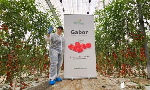 María José Flores, delegada técnica de Harmoniz, en invernaderos de Albuñol, costa de Granada / agroautentico.com