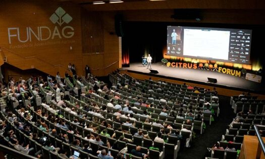Citrus Forum 2024 cierra con cifras récords y se consolida como evento de referencia