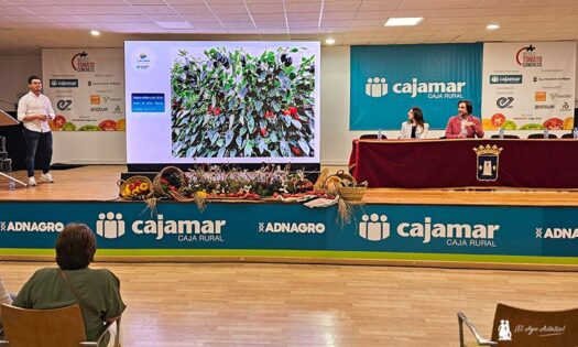 Trichodermas y micorrizas y la mejora de la producción en pimiento. José Fco Rodríguez, EFA Campomar / agroautentico.com