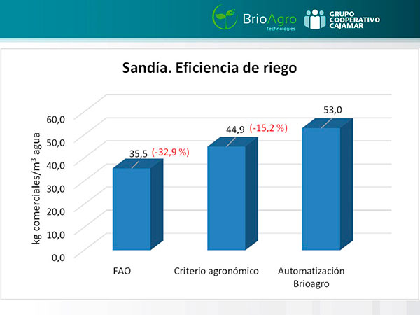 Eficiencia de riego en sandía con BrioAgro en la estación experimental de Cajamar en Paiporta / agroautentico.com
