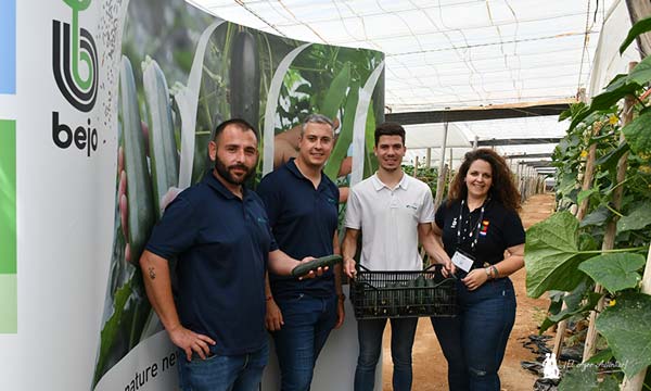 Bejo se estrena en el pepino tipo francés con la variedad Pombal-noticias-agroautentico.com