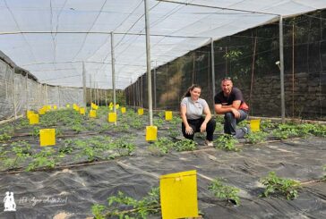 Fertiberia TECH entra en sanidad vegetal con productos de valor añadido