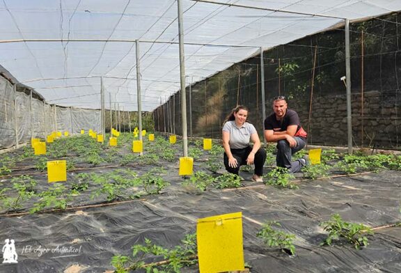 Fertiberia TECH entra en sanidad vegetal con productos de valor añadido