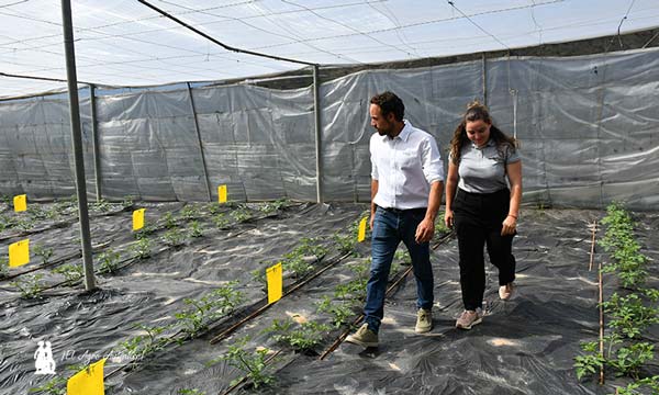 Fertiberia TECH entra en sanidad vegetal con productos de valor añadido