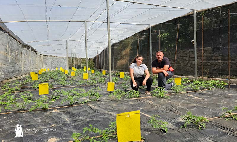 Fertiberia TECH entra en sanidad vegetal con productos de valor añadido