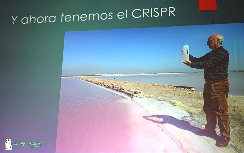 Francisco Mojica y el origen del CRISPR / agroautentico.com