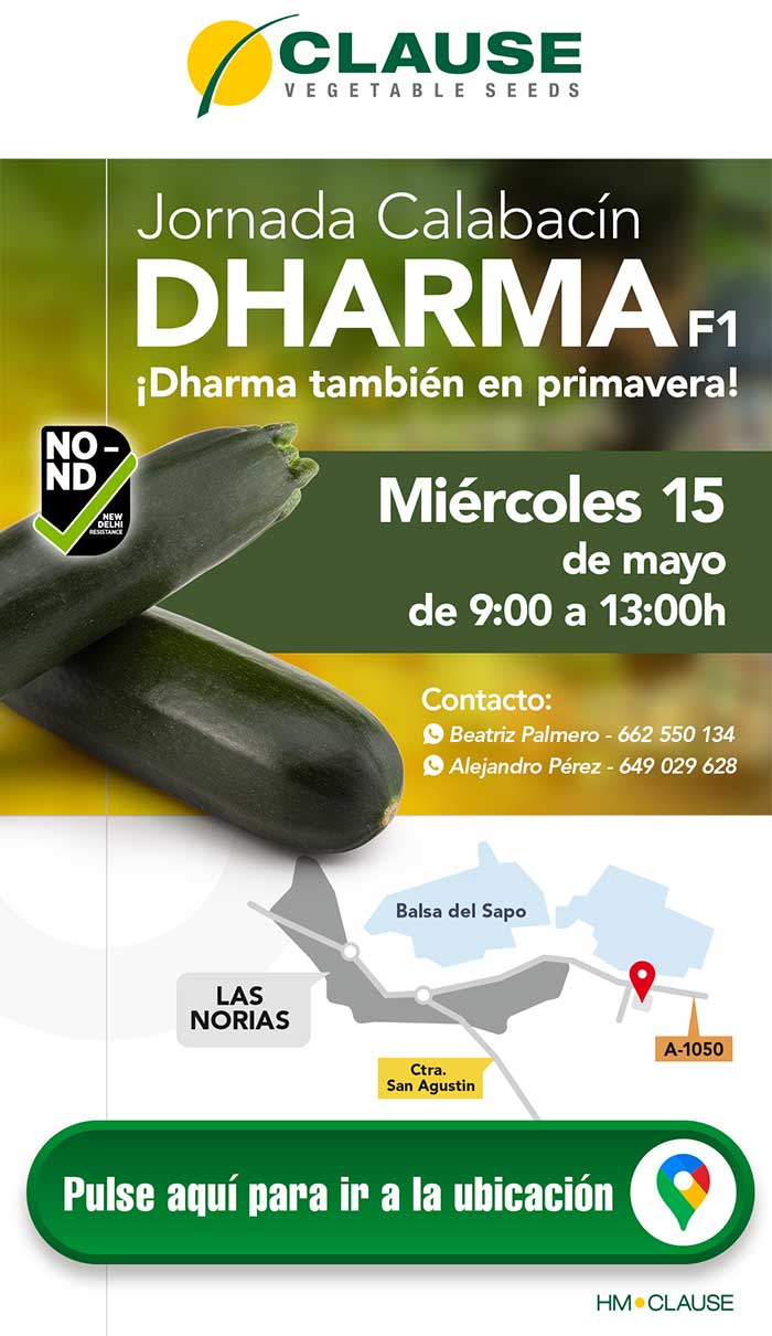 Jornada de calabacín Dharma de HM.Clause