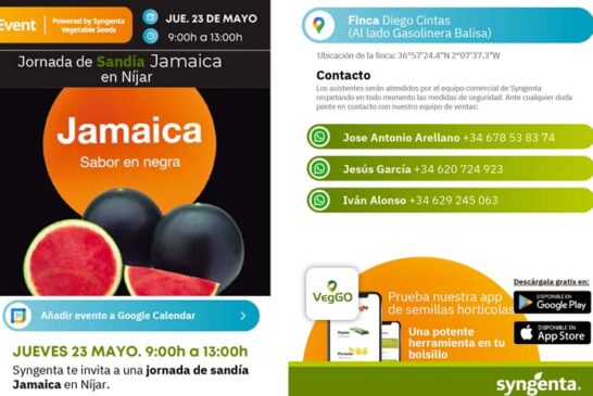 Día 23 de mayo. Jornada de sandía Jamaica de Syngenta