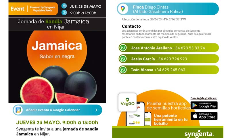 Día 23 de mayo. Jornada de sandía Jamaica de Syngenta