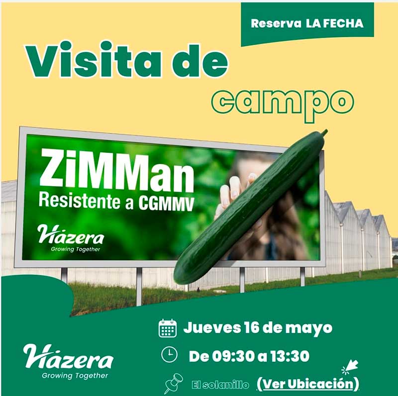 Día 16 de mayo. Jornada de pepino ZiMMan de Hazera