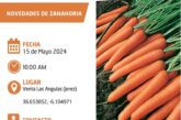 Día 15 de mayo. Jornada de zanahoria de Vimorin-Mikado