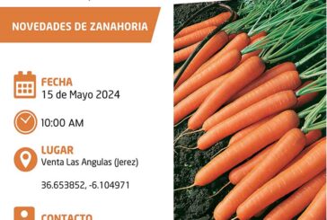 Día 15 de mayo. Jornada de zanahoria de Vilmorin-Mikado