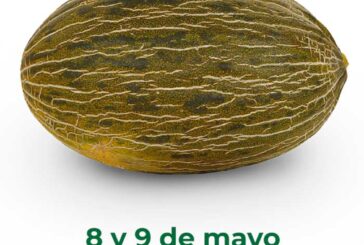 Días 8 y 9 de mayo. Jornada de melón piel de sapo de Semillas Fitó