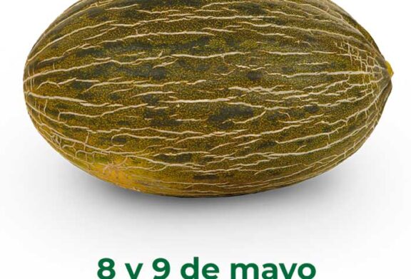 Días 8 y 9 de mayo. Jornada de melón piel de sapo de Semillas Fitó