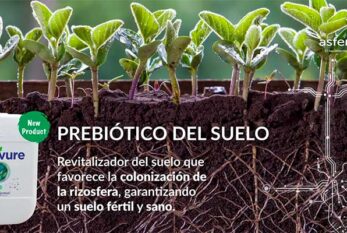 Kiplant Solevure es el nuevo prebiótico de Asfertglobal para la salud del suelo