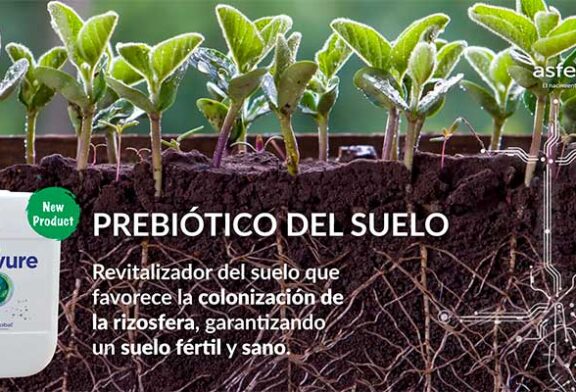 Kiplant Solevure es el nuevo prebiótico de Asfertglobal para la salud del suelo