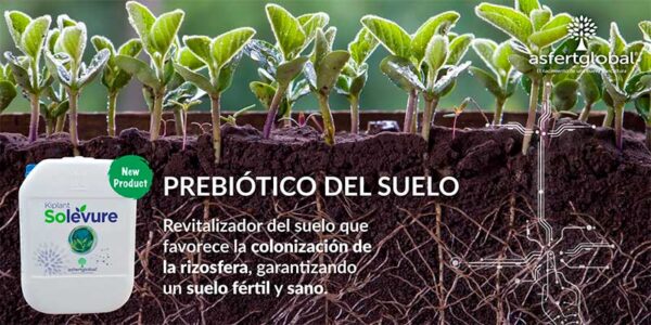 Kiplant Solevure es el nuevo prebiótico de Asfertglobal que aumenta la fertilidad y la salud de los suelos agrícolas