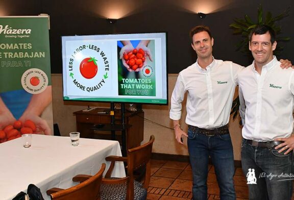 La nueva gama de tomate de Hazera: menos mano de obra, sin mermas y con más calidad